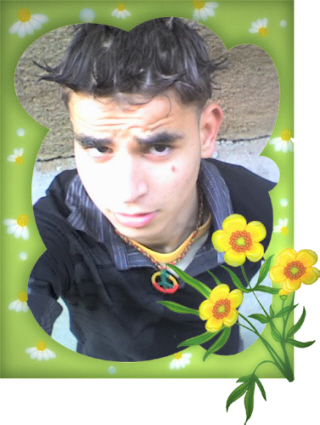 +*^*+(encOr mOii )+*^*+