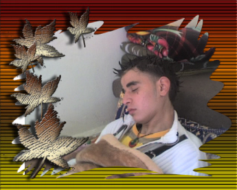 +*^*+(encOr mOii )+*^*+